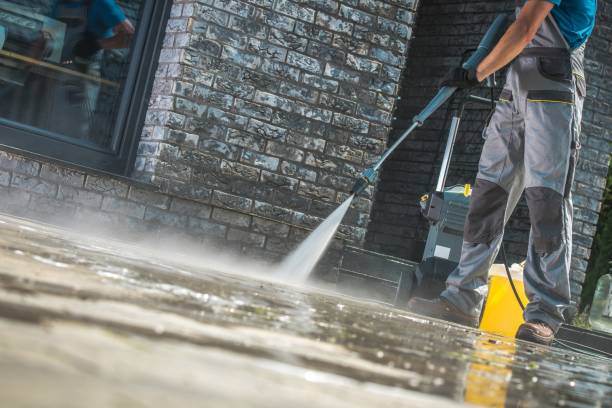 Best Animal Enclosure Cleaning  in Newberry, FL